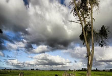 2026世界杯下注-德美化工：公司通过直接出口以及在海外市场设立公司实现海外销售