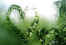 美加墨世界杯-香飘飘积极拥抱新兴渠道 加速发展海外市场