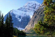 世界杯下注-卡里克追平英超历史纪录，曼联主帅位置稳若磐石