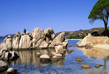 2026世界杯下注-德美化工：公司通过直接出口以及在海外市场设立公司实现海外销售