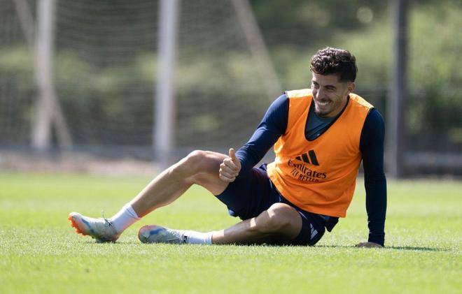 世界杯竞彩-阿森纳伤病名单更新,2.5亿阵容深度也遭不住伤病的终极考验